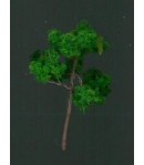 Albero per modellismo 6cm